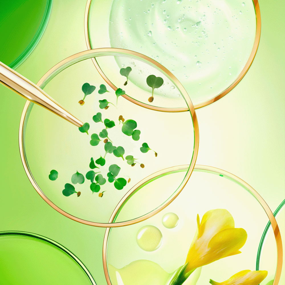 Nuxe Nuxuriance Ultra Crema de Día SPF 30 50ml - Anti-Edad, Reafirmante y Protección UVA/UVB