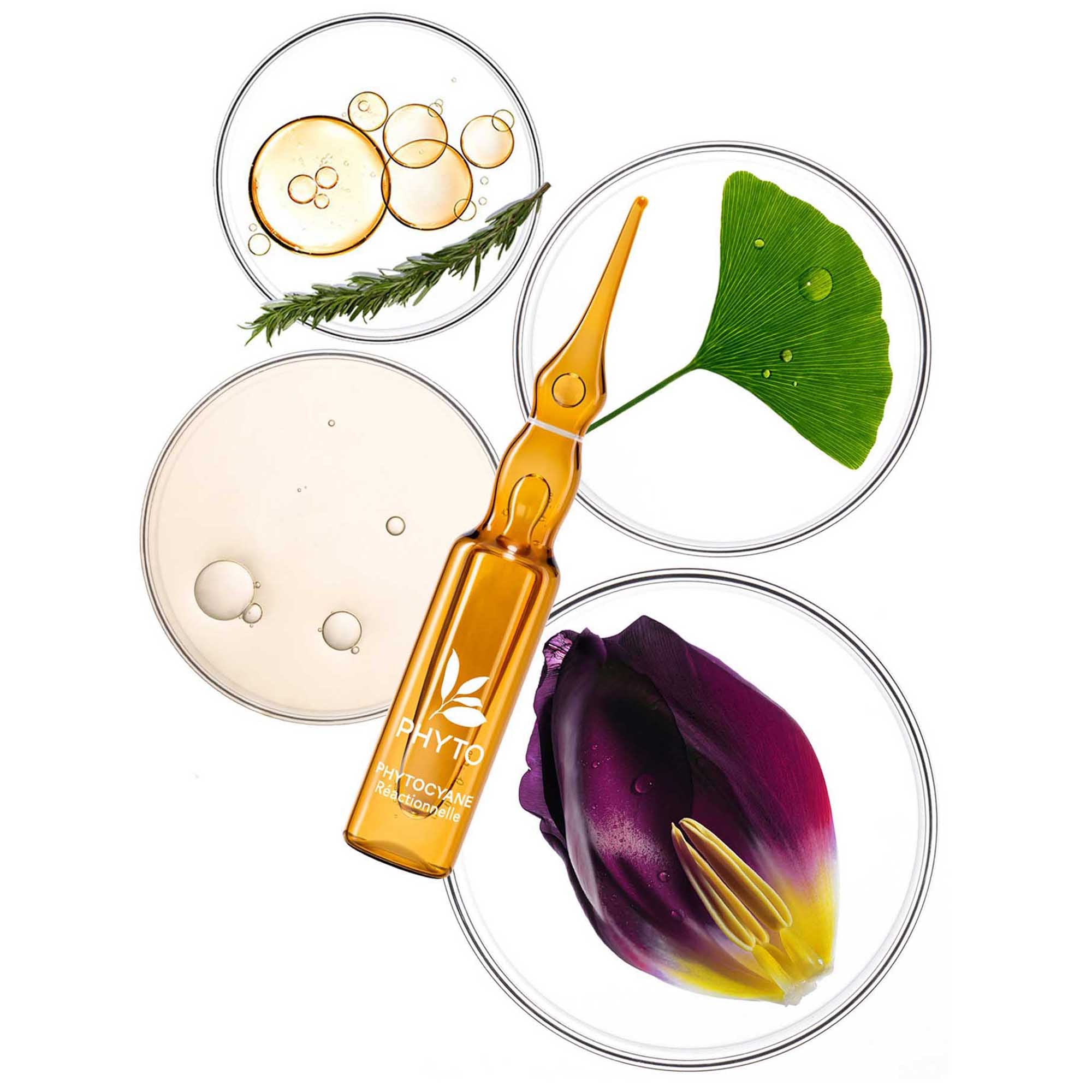 Phyto Phytocyane Mujer Ampolletas 12x5ml - Anti-Caída Reaccional, Crecimiento, Volumen, Brillo