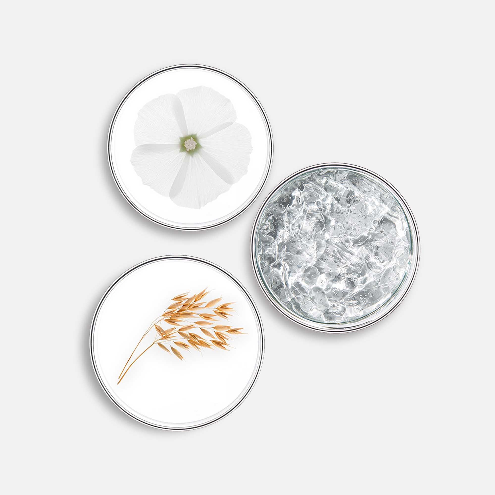 Suavidad - Shampoo suave de uso frecuente 250ml