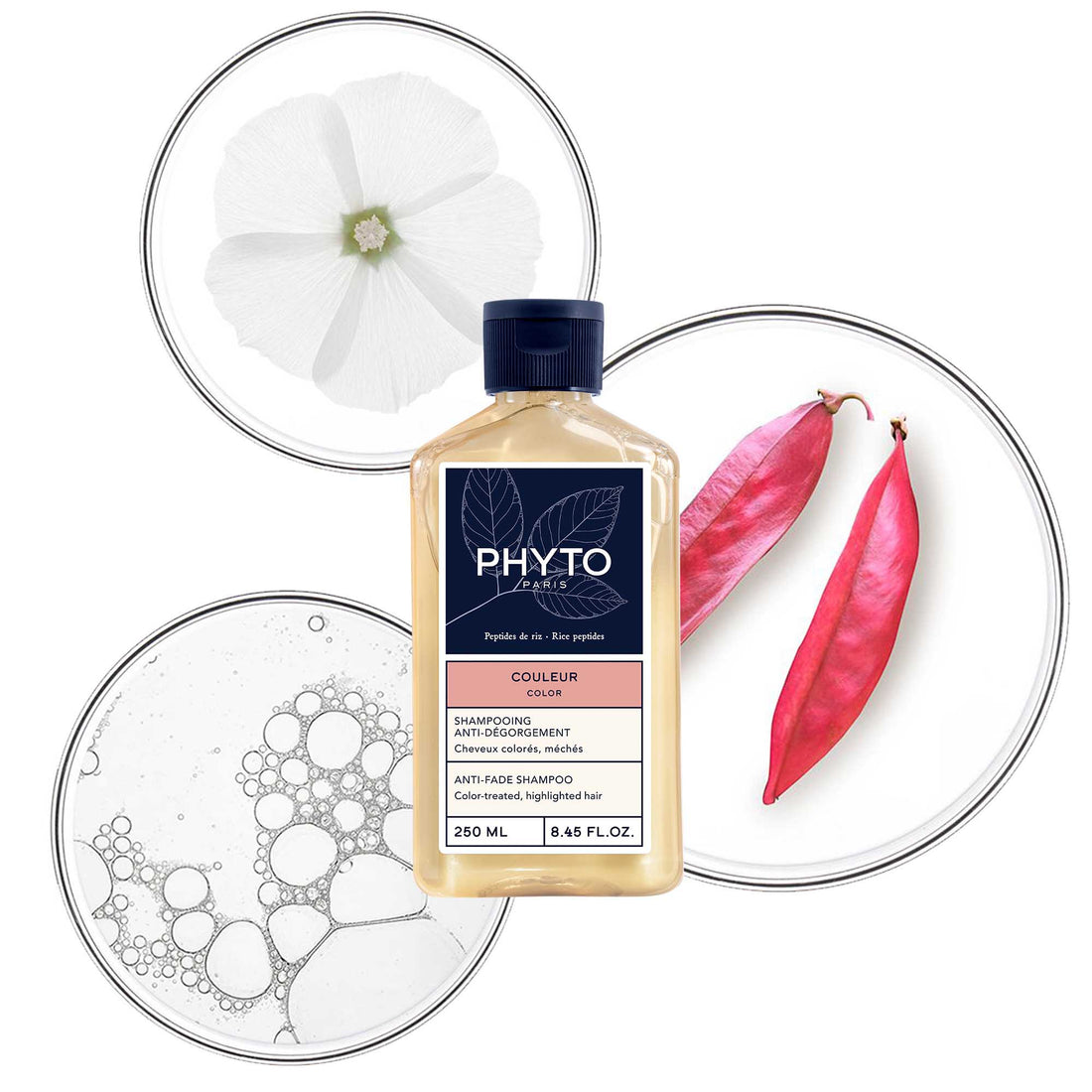 Color - Shampoo protector de color para cabello teñido y con mechas 250ml