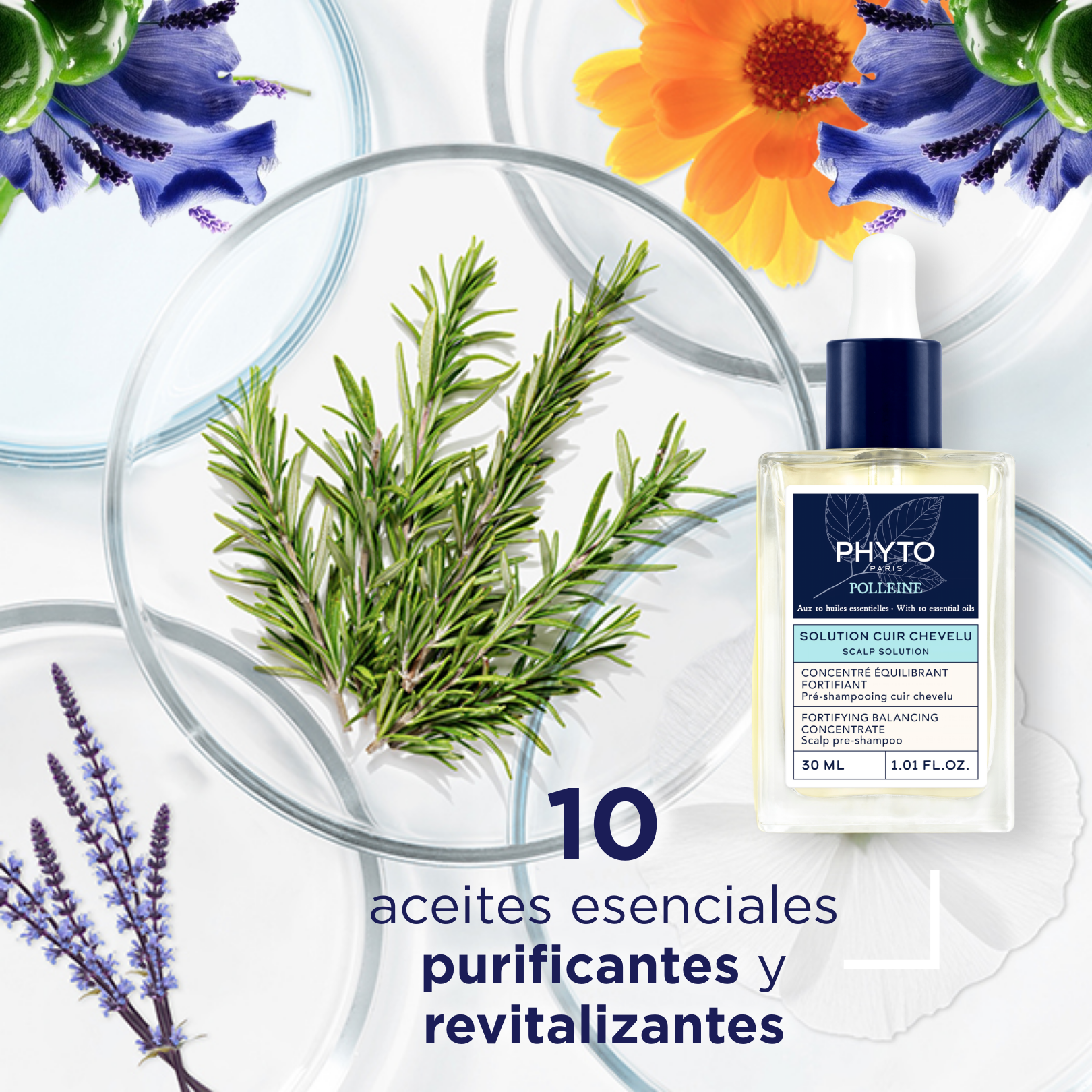 Phyto Polleine Concentrado Equilibrante Pre-Shampoo 30ml - Purifica, Fortalece y Revitaliza