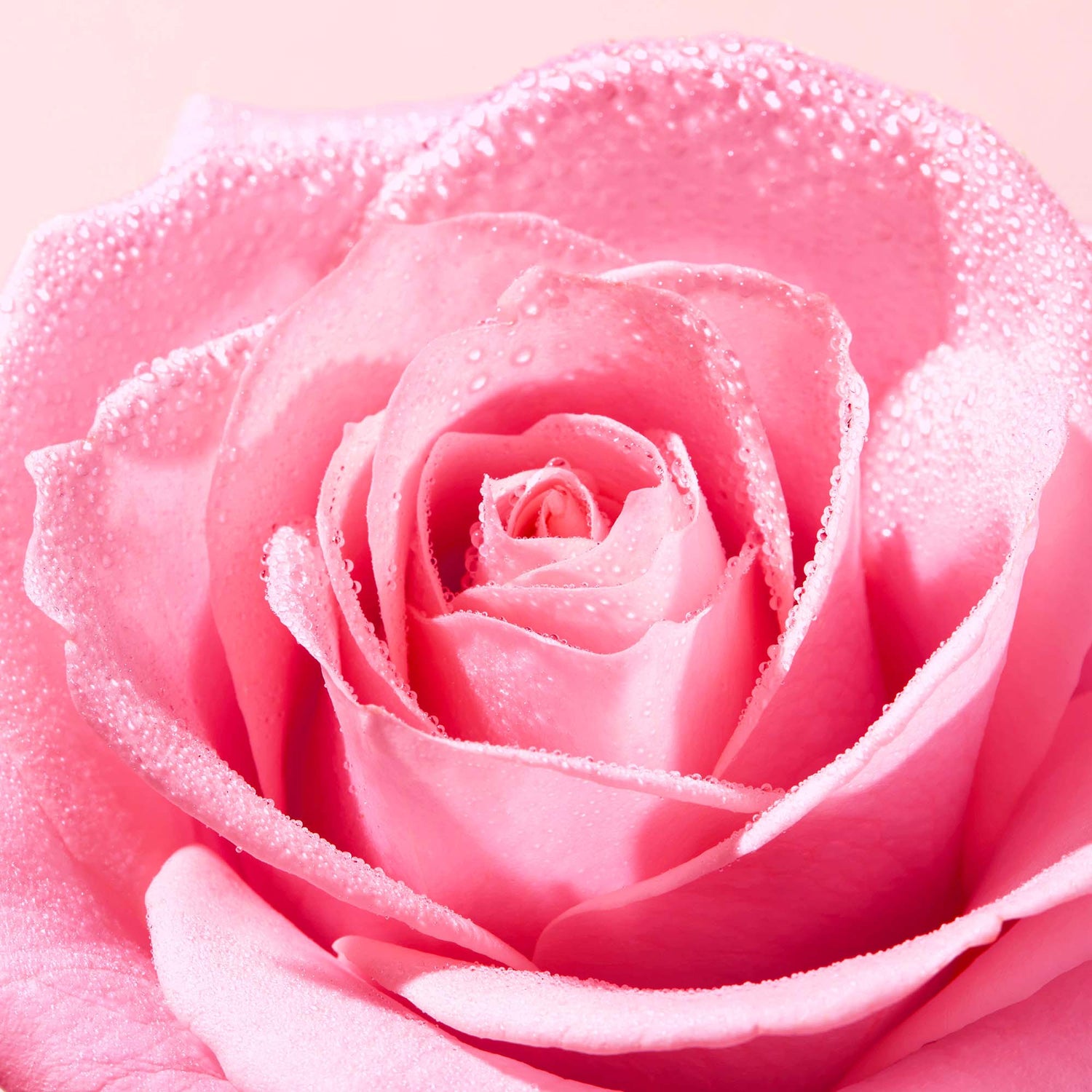 Nuxe Very Rose Espuma Limpiadora Facial 150ml - Limpia, Hidrata y Suaviza la Piel