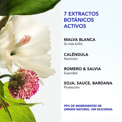 Phyto 7 Elixir Crema de Día 50 ml - Nutre, da brillo y controla el frizz